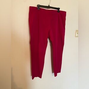 A New Day Fuchsia Pants